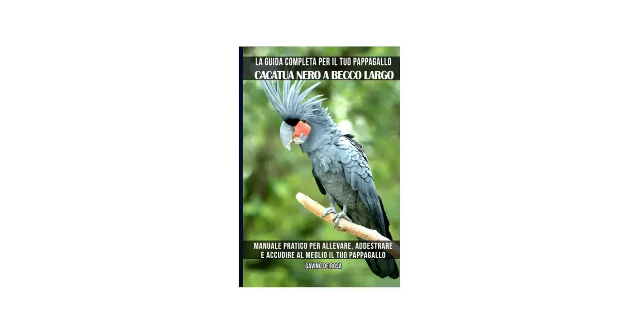 Un cacatua nero a becco largo, con il suo carattere unico, posa su un ramo. La copertina di un manuale ne illustra la cura.