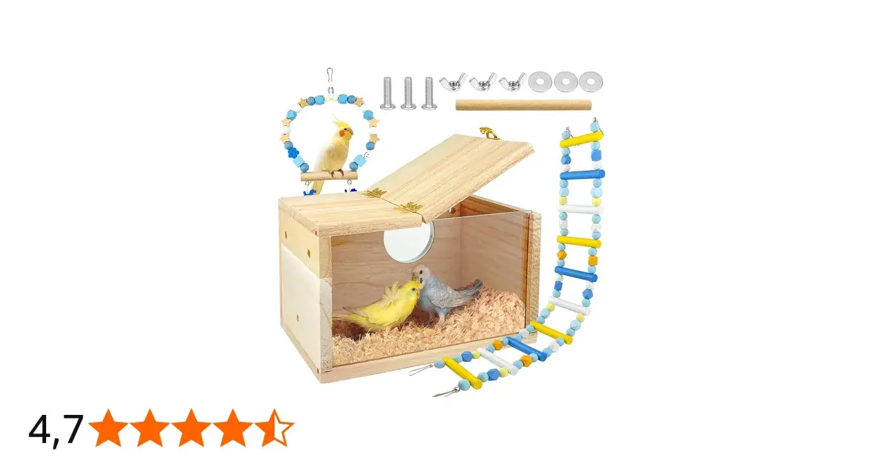 Nido per cocorite fai da te in legno con due uccellini all'interno, accessori inclusi.