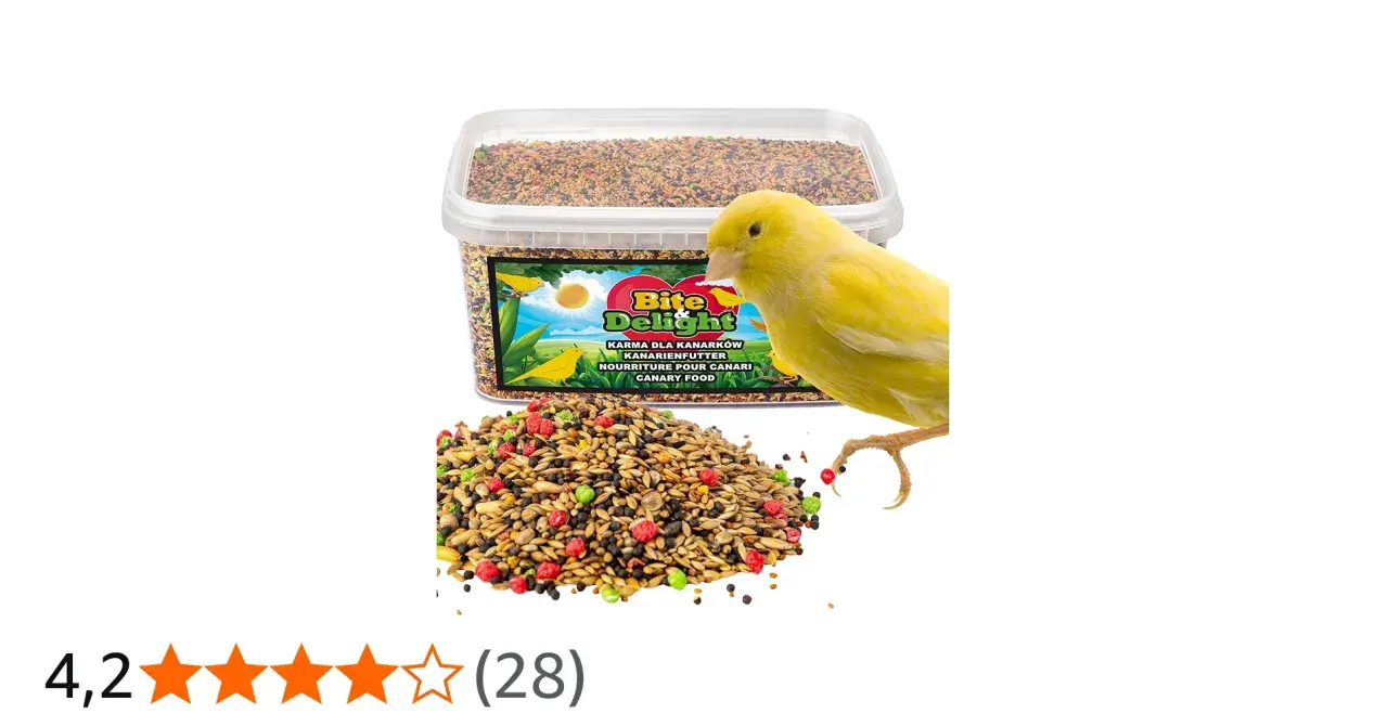 Un canarino giallo guarda un mucchio di cibo per canarini colorato. La confezione di cibo per canarini è sullo sfondo.