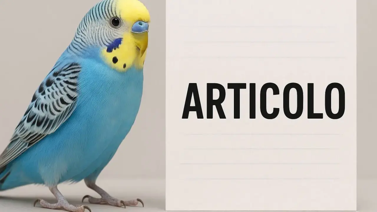 Articolo su come muore una cocorita. Un uccellino azzurro e giallo, con un'espressione seria, accanto a un foglio con la parola "ARTICOLO".