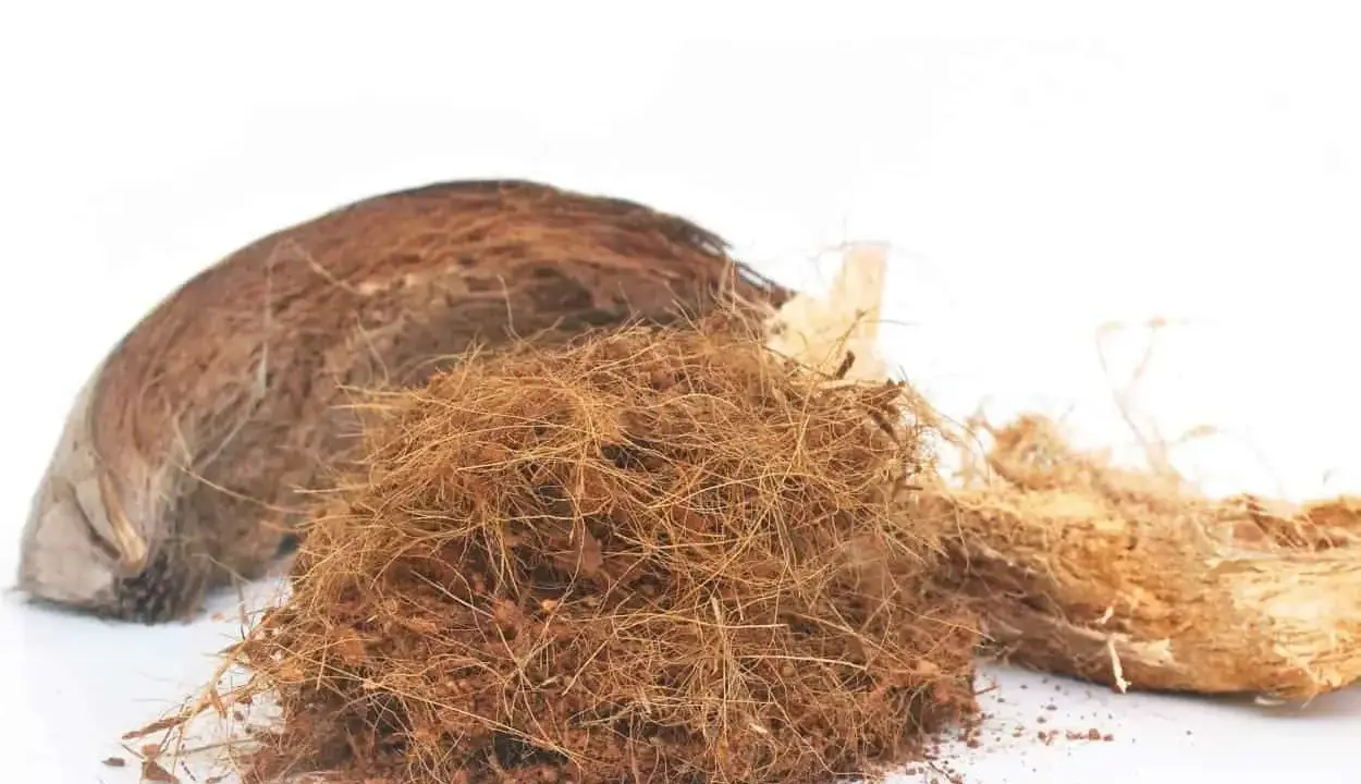 Un cumulo di fibra di cocco, materiale naturale e versatile, accanto a un pezzo di guscio di cocco.