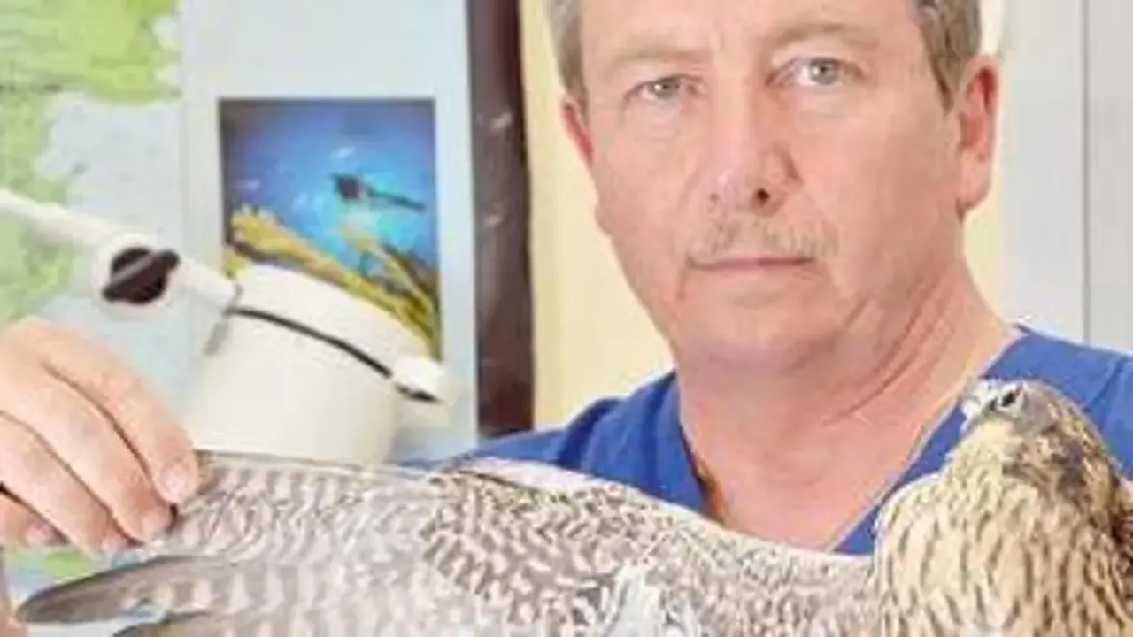 Un uomo con un falco in braccio, probabilmente un veterinario per uccelli, in un ambiente che ricorda uno studio medico.