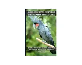 Un cacatua nero a becco largo, con il suo carattere unico, posa su un ramo. La copertina di un manuale ne illustra la cura.