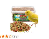 Un canarino giallo guarda un mucchio di cibo per canarini colorato. La confezione di cibo per canarini è sullo sfondo.