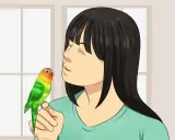 Una ragazza con un pappagallino colorato sulla mano, mentre pensa a cosa sono i coccidi e come proteggere il suo amico piumato.