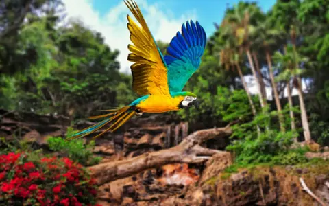 Un pappagallo vola libero nel loro parque Tenerife, con le sue ali gialle e blu che spiccano tra la vegetazione lussureggiante.