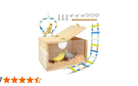 Nido per cocorite fai da te in legno con due uccellini all'interno, accessori inclusi.