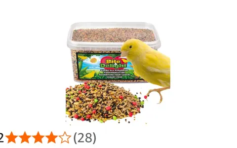 Un canarino giallo guarda un mucchio di cibo per canarini colorato. La confezione di cibo per canarini è sullo sfondo.