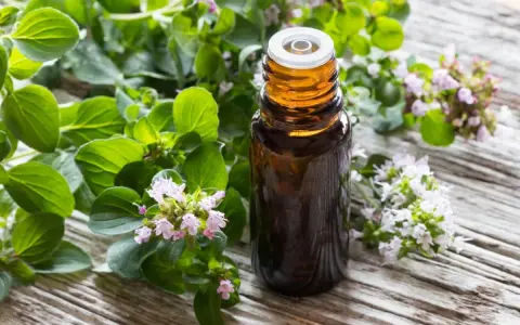 Flacone di olio di origano su legno rustico, circondato da rametti fioriti. Utile contro i parassiti.