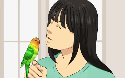 Una ragazza con un pappagallino colorato sulla mano, mentre pensa a cosa sono i coccidi e come proteggere il suo amico piumato.