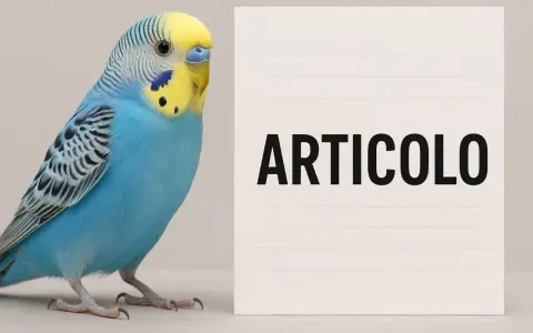 Articolo su come muore una cocorita. Un uccellino azzurro e giallo, con un'espressione seria, accanto a un foglio con la parola "ARTICOLO".