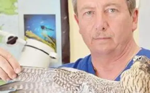 Un uomo con un falco in braccio, probabilmente un veterinario per uccelli, in un ambiente che ricorda uno studio medico.