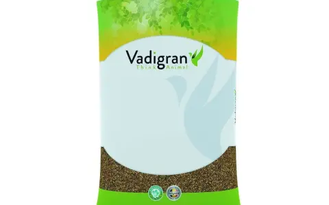 Confezione di semi per uccelli Vadigran, con un'immagine stilizzata di un uccello e foglie verdi.