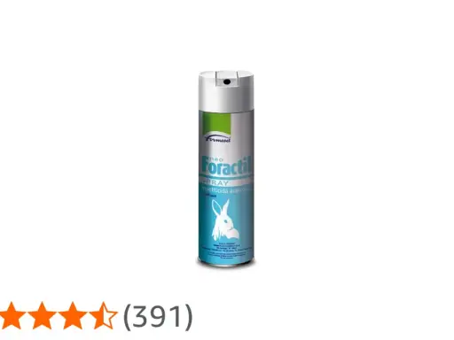 Lattina di neo Foractil spray, insetticida acaricida. Scopri come usarlo per proteggere i tuoi animali.