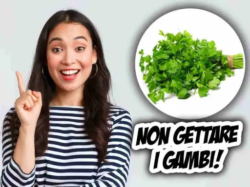 Donna sorridente indica un mazzetto di prezzemolo fresco, con la scritta "Non gettare i gambi!".