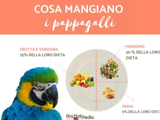 Ecco cosa mangiano gli inseparabili: 75% frutta e verdura, 20% mangime e 5% premi.