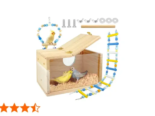Nido per cocorite fai da te in legno con due uccellini all'interno, accessori inclusi.