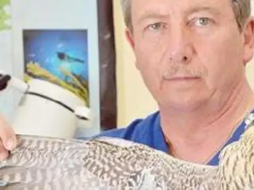 Un uomo con un falco in braccio, probabilmente un veterinario per uccelli, in un ambiente che ricorda uno studio medico.