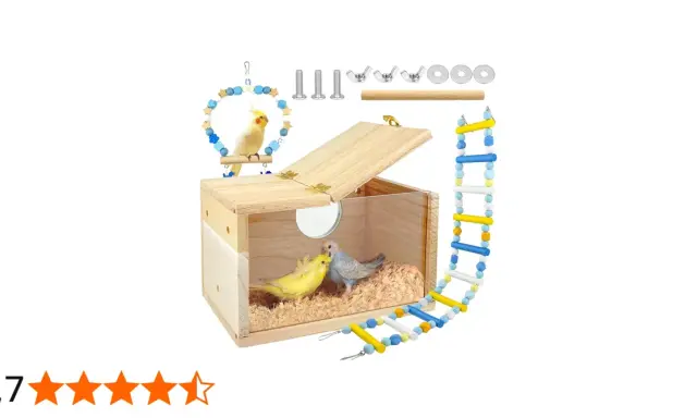 Nido per cocorite fai da te in legno con due uccellini all'interno, accessori inclusi.