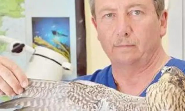 Un uomo con un falco in braccio, probabilmente un veterinario per uccelli, in un ambiente che ricorda uno studio medico.