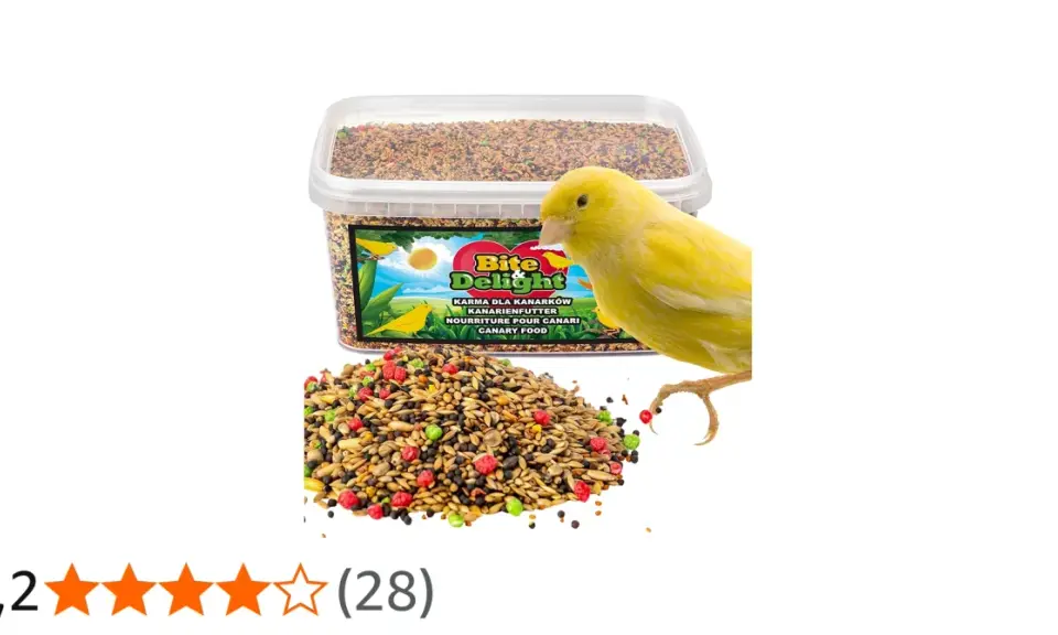 Un canarino giallo guarda un mucchio di cibo per canarini colorato. La confezione di cibo per canarini è sullo sfondo.