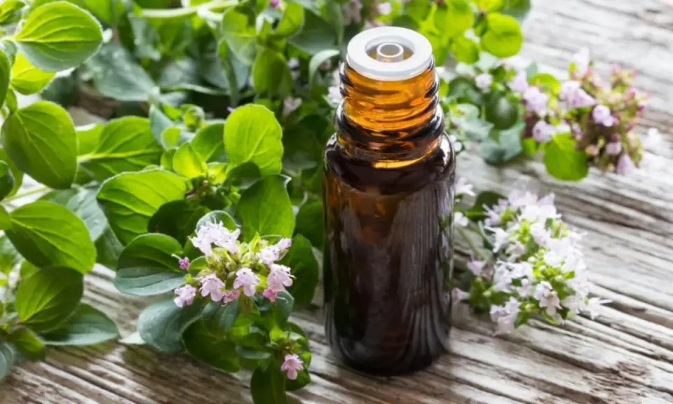 Flacone di olio di origano su legno rustico, circondato da rametti fioriti. Utile contro i parassiti.