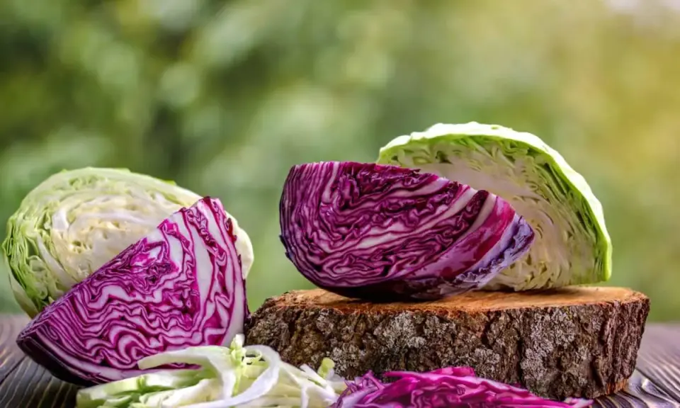 Cavolo cappuccio bianco e rosso, tagliato a spicchi e sminuzzato, su un tavolo di legno con sfondo verde sfocato.