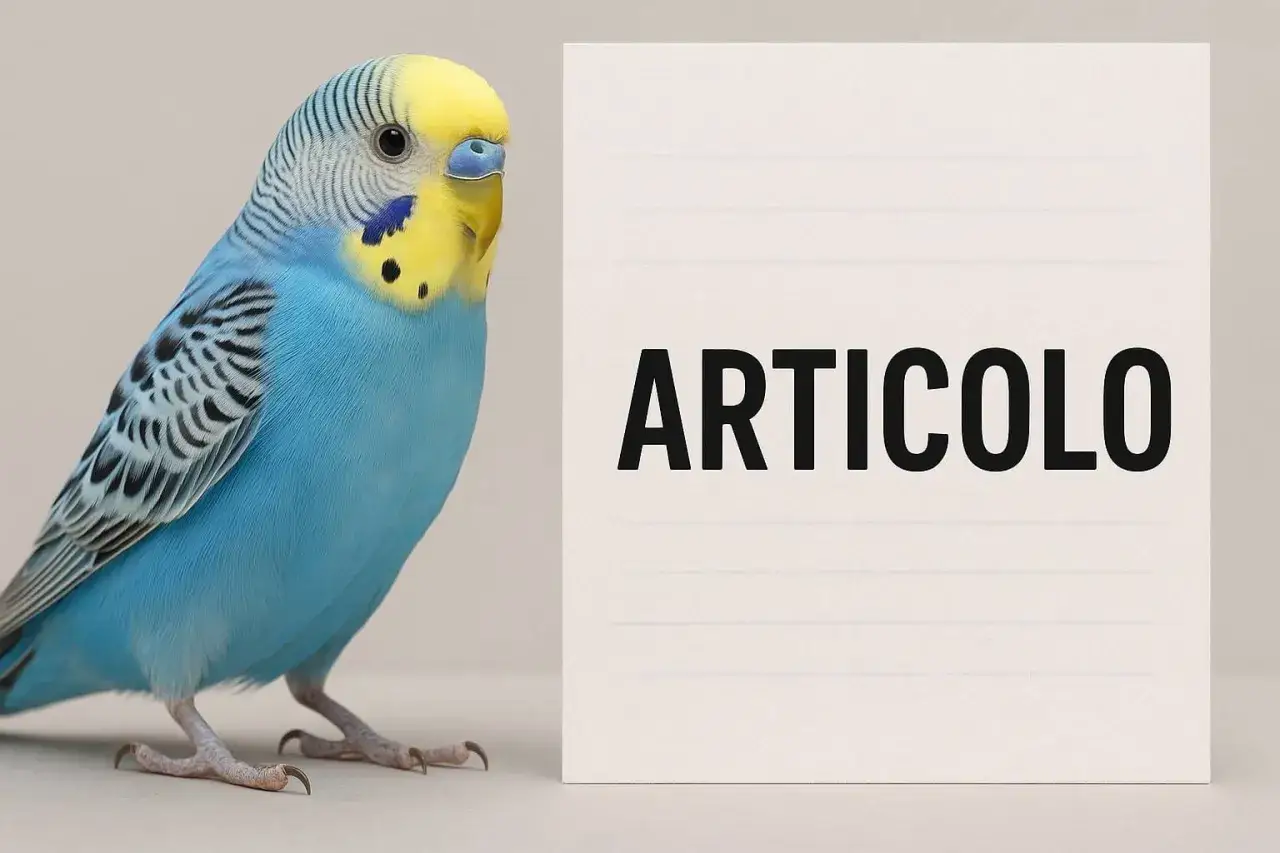 Un pappagallino blu e giallo accanto a un foglio con scritto