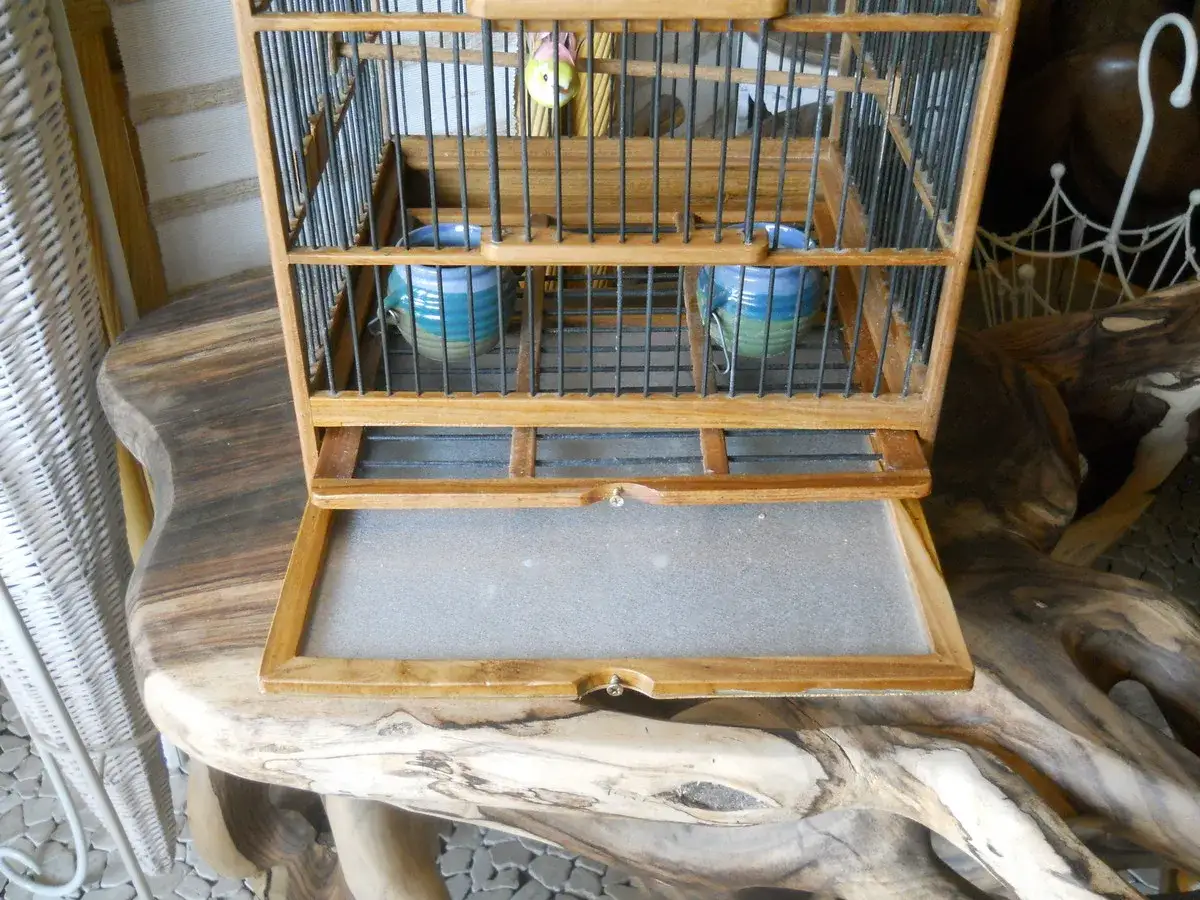 Gabbietta in legno con due ciotole colorate, pronta per accogliere un canarino e stimolarlo a cantare con un ambiente accogliente.