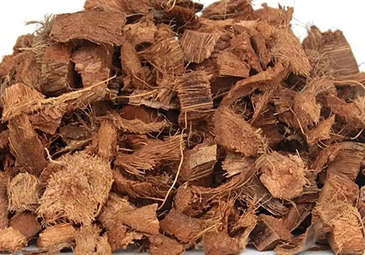 Cumulo di fibra di cocco, materiale naturale e sostenibile per il giardinaggio.