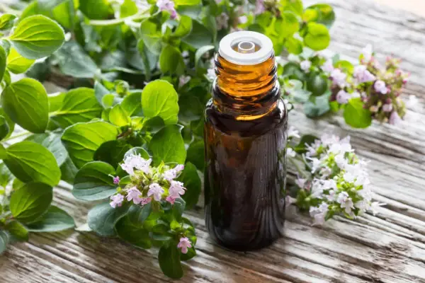 Flacone di olio di origano su legno rustico, circondato da rametti fioriti. Utile contro i parassiti.