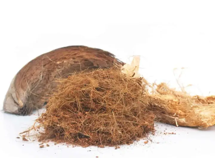 Un cumulo di fibra di cocco, materiale naturale e versatile, accanto a un pezzo di guscio di cocco.